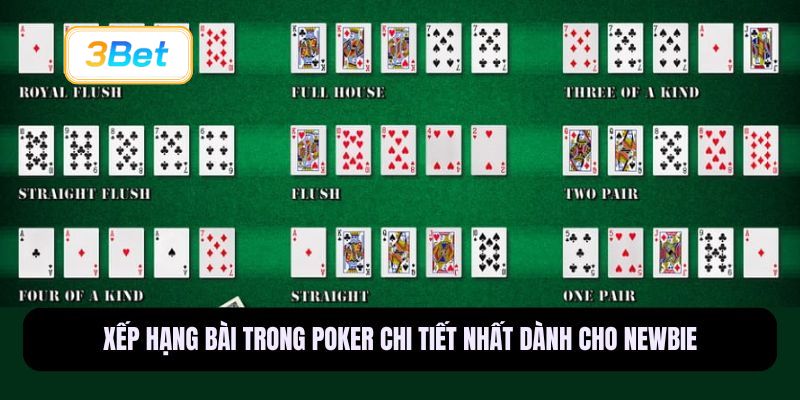 Xếp hạng bài trong Poker chi tiết nhất dành cho newbie