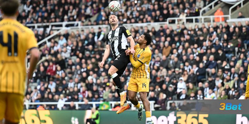 Soi kèo Newcastle vs Brighton 21h00 ngày 02/05/2026