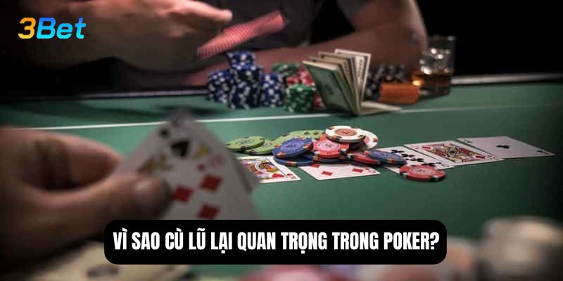 Vì sao cù lũ lại quan trọng trong poker?